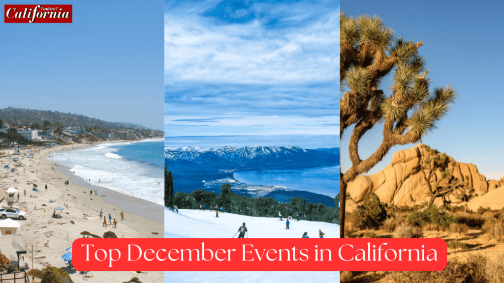 Top December Events in California, Colorful lights and holiday decorations at a winter festival in California.