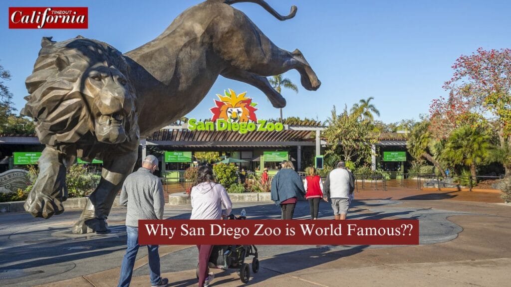 "Why San Diego Zoo is World Famous for its wildlife conservation and innovative habitats"