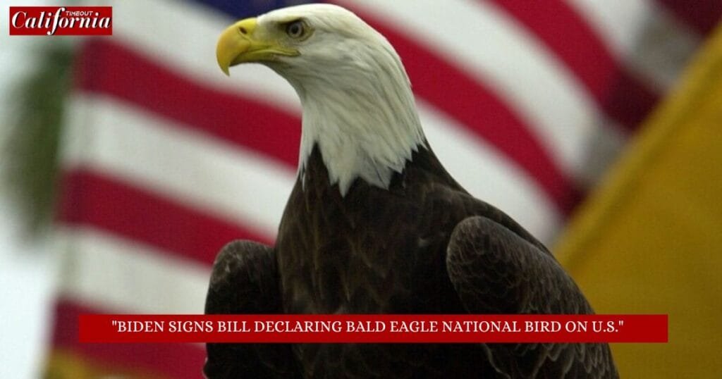 Biden Signs Bill Declaring Bald Eagle National bird on U.S.